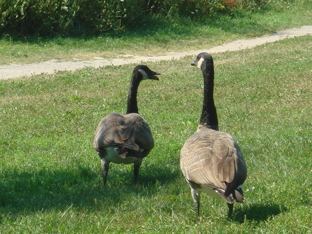 c0081257_1151748.jpg