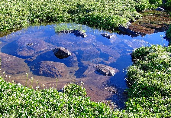 c0119160_5511480.jpg