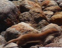 c0119160_6472314.jpg