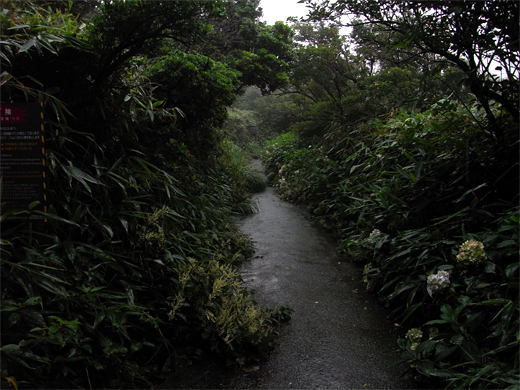 c0122266_135221.jpg
