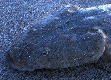 a0096669_8265345.jpg