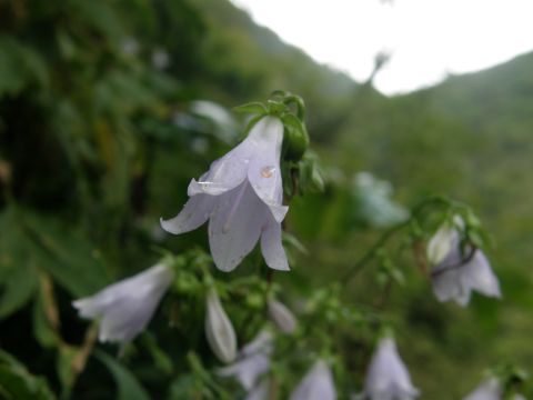 c0042869_2047451.jpg
