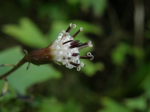 c0042869_20574386.jpg