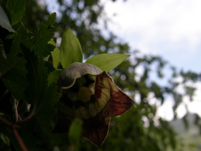 c0042869_2174844.jpg