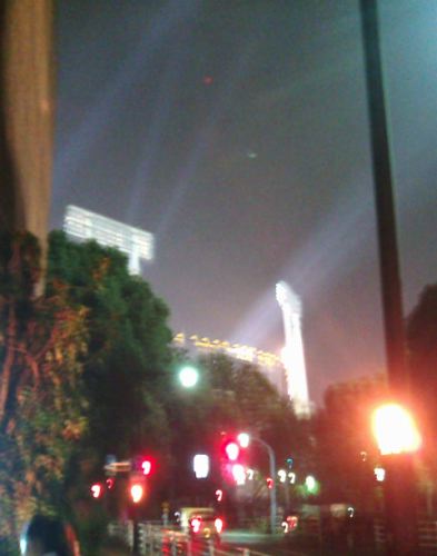 f0000673_16407.jpg