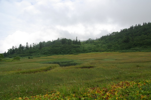 f0054075_16171480.jpg