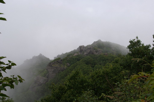 f0054075_1619208.jpg