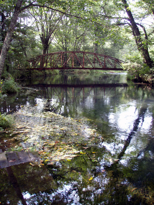 c0080180_8491446.jpg