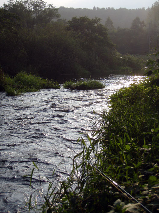 c0080180_853780.jpg