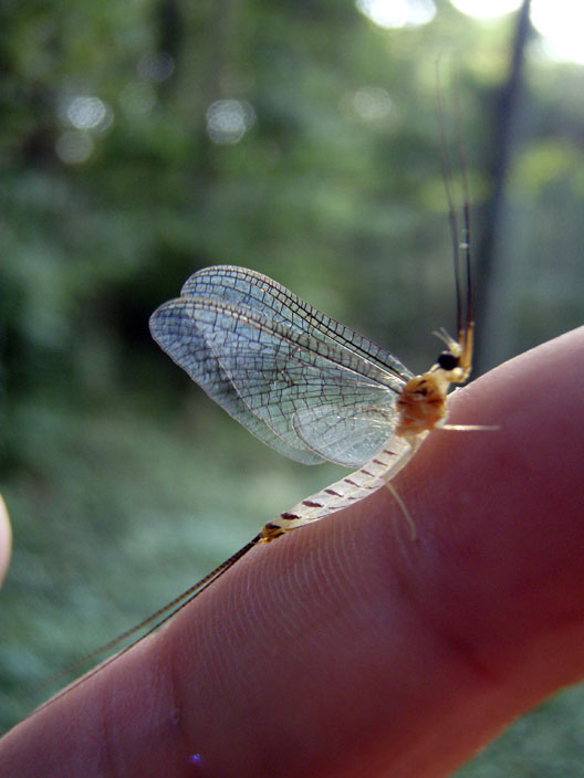c0080180_943344.jpg