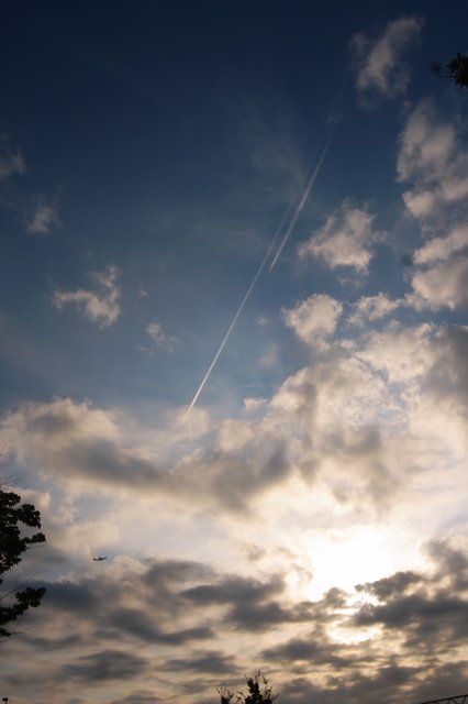 d0131982_0647.jpg