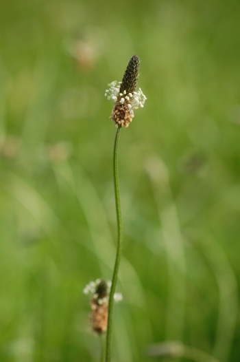 b0143983_195548.jpg