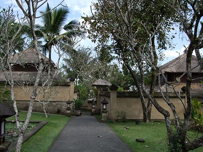b0101284_2342968.jpg
