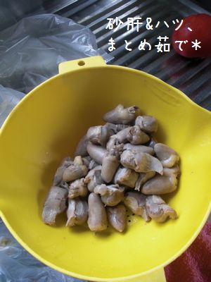 b0000885_1662423.jpg