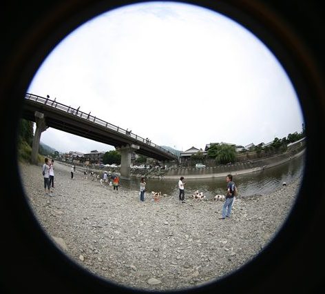 d0001985_0464951.jpg