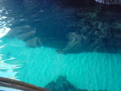 b0015290_20132836.jpg