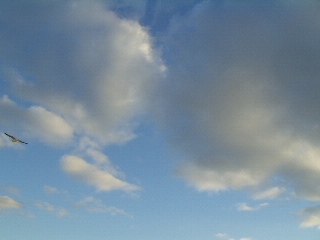 f0018790_035836.jpg