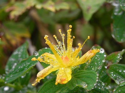 f0157901_2241869.jpg