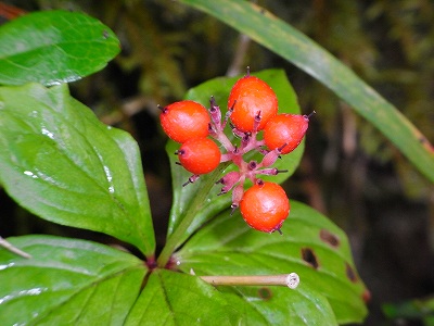 f0157901_2244243.jpg