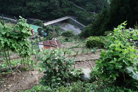 e0117202_14594020.jpg