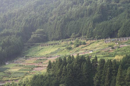 e0117202_1565033.jpg