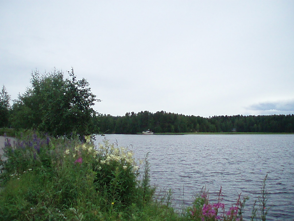 f0005602_22151269.jpg