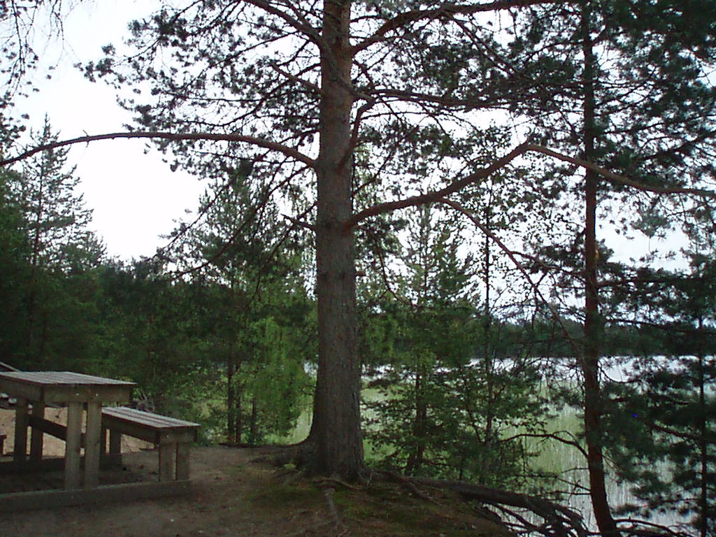 f0005602_22153832.jpg