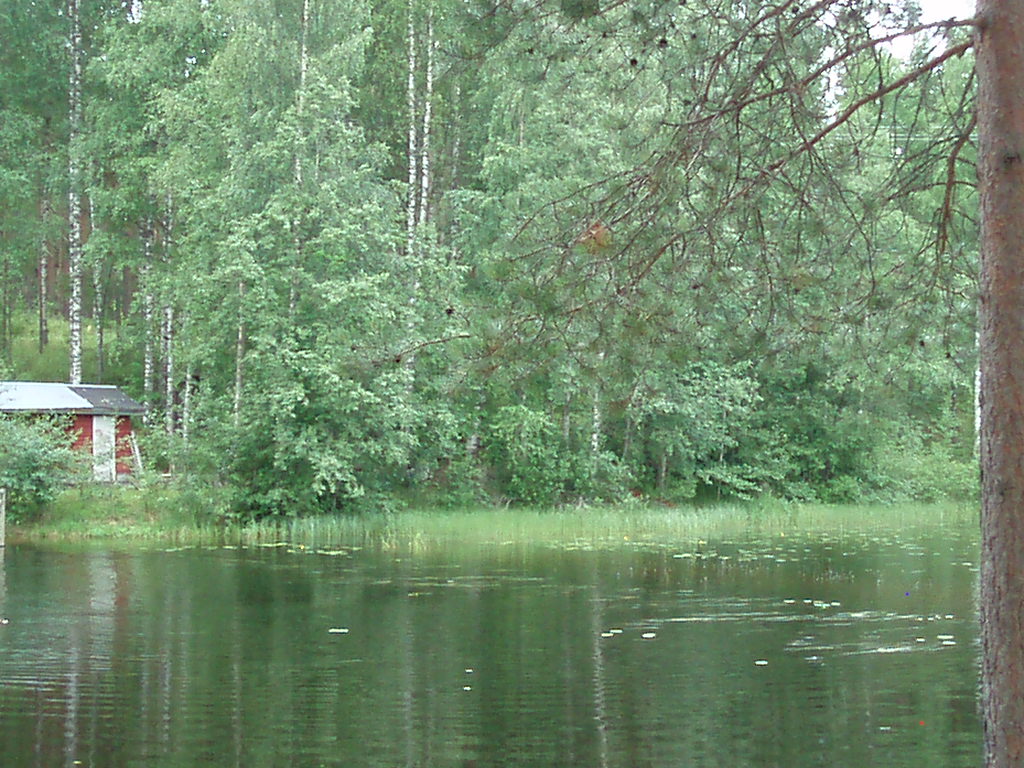 f0005602_22175478.jpg