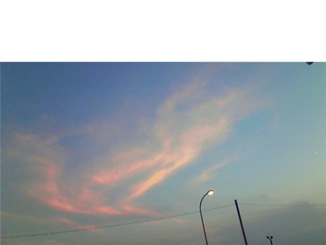b0110403_12295533.jpg