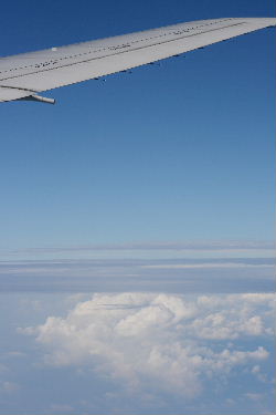 f0041606_16542978.jpg