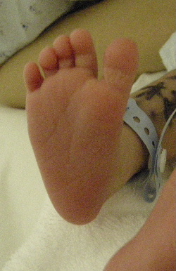 f0041606_16544219.jpg