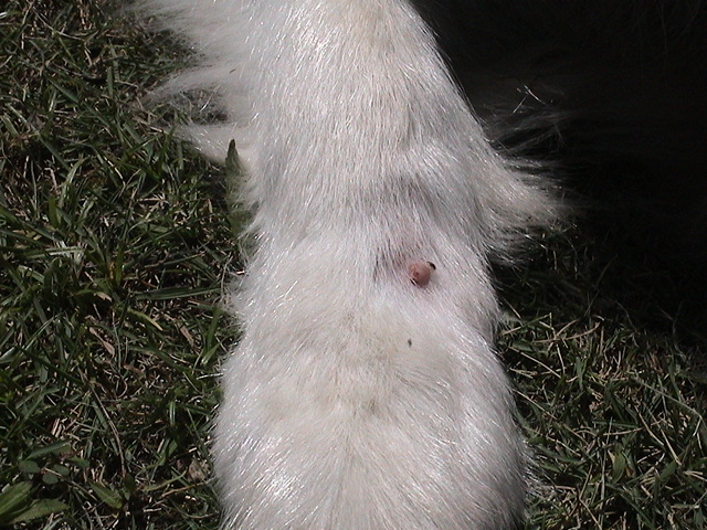 a0052512_16422342.jpg
