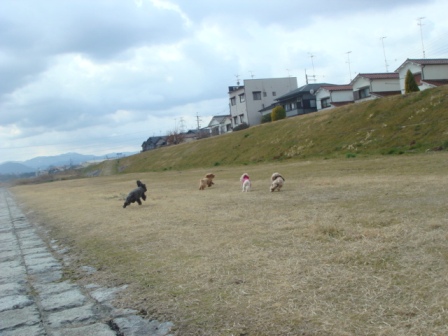 e0119017_0513867.jpg