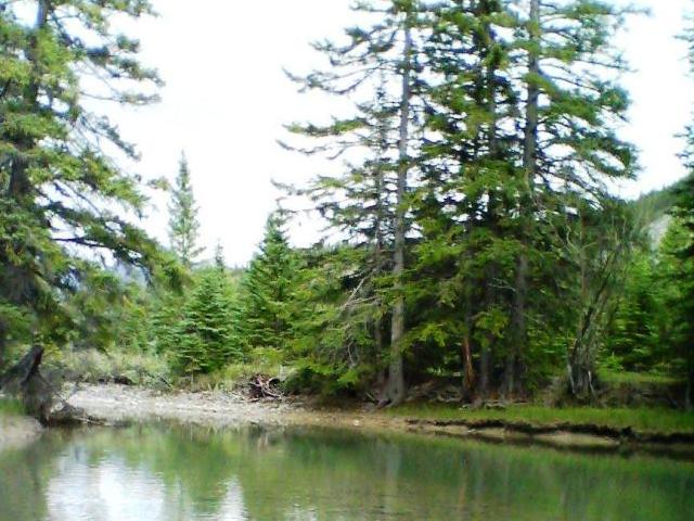 a0097823_1040286.jpg