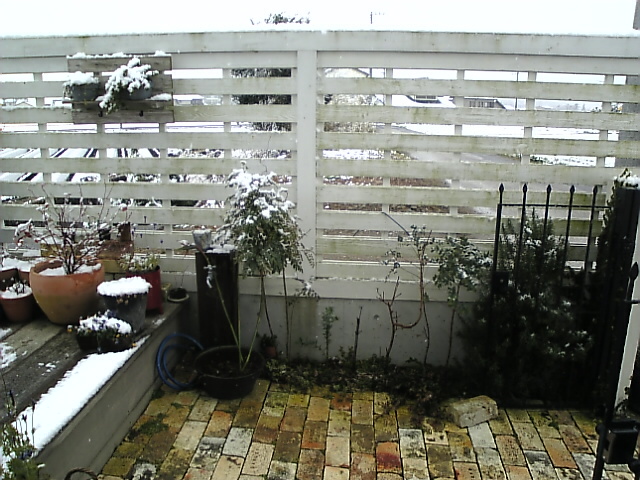 f0138934_1763159.jpg