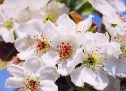 f0108049_2295882.jpg