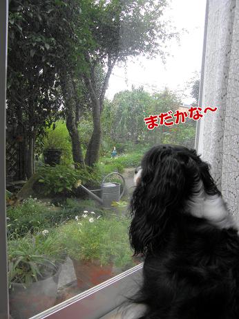 c0145250_1130139.jpg