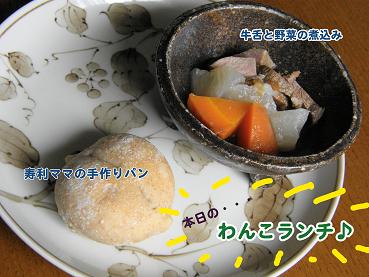 c0145250_11372339.jpg