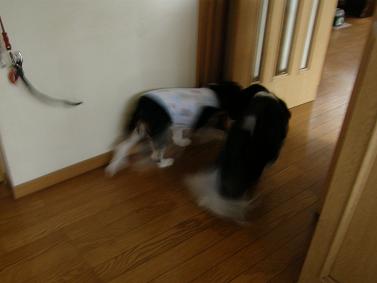 c0145250_1233732.jpg