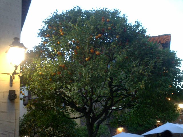 d0061952_328871.jpg