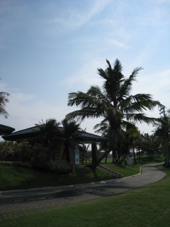 d0141457_23493443.jpg