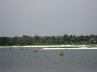 d0141457_2355381.jpg