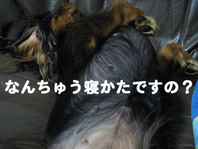 a0101958_1111396.jpg