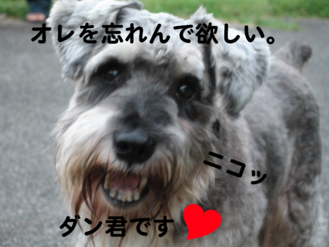 a0101958_16135397.jpg