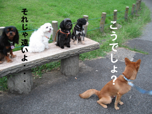 a0101958_166398.jpg