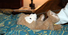 f0027762_22494517.jpg