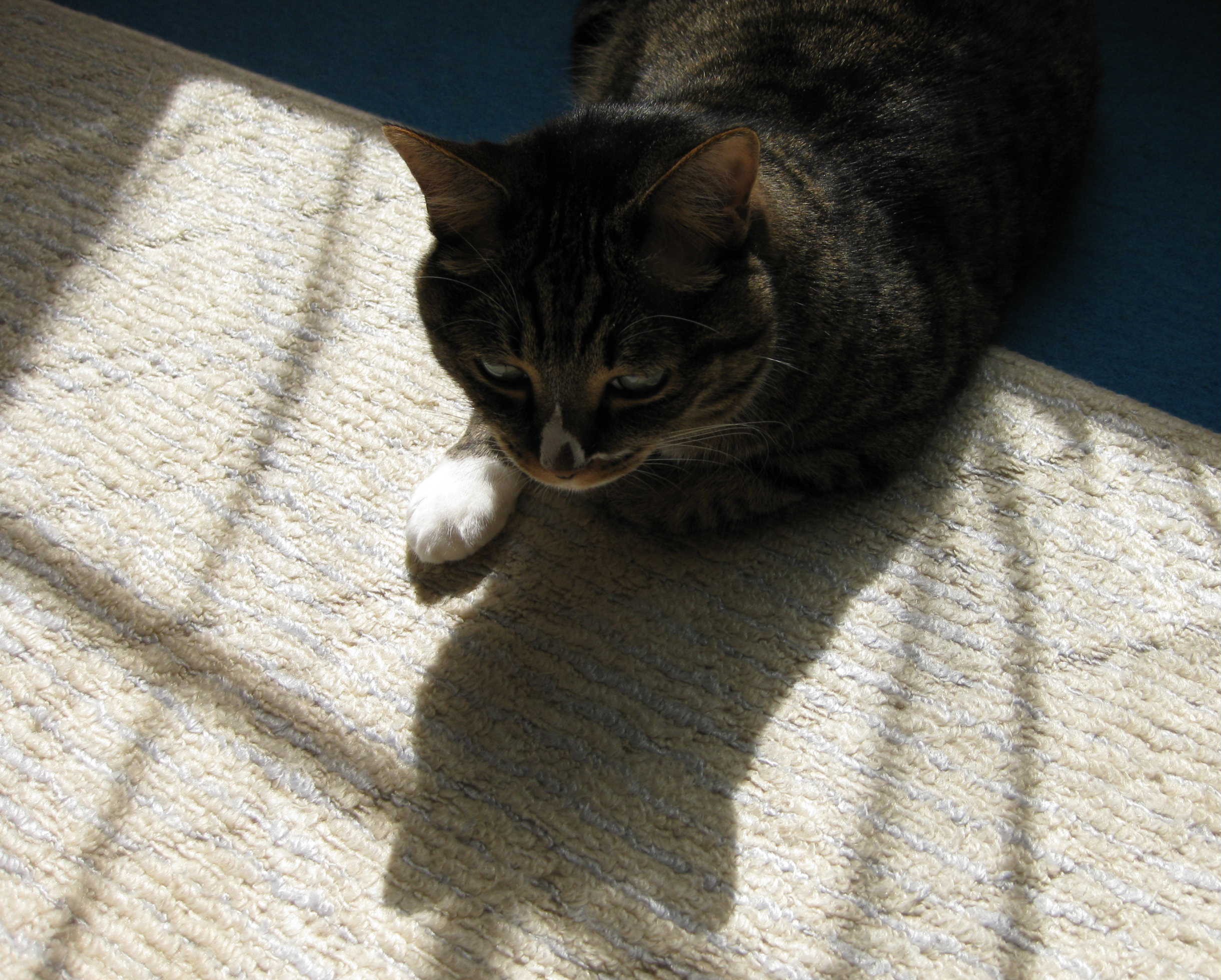 c0148165_2215504.jpg