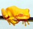 b0031166_1354125.jpg