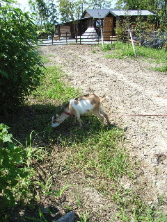 c0124269_2364150.jpg