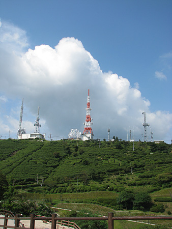 c0104371_11433117.jpg